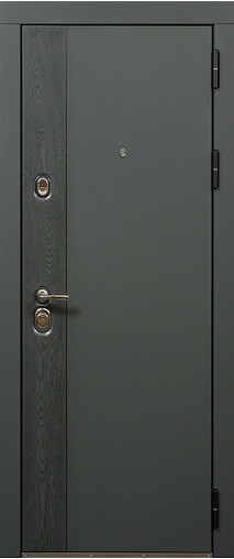 Входная дверь  Сталлер Вивара, 860*2050, 83 мм, снаружи мдф влагостойкий, покрытие Эмаль, Цвет Эмаль черно-серая RAL 7021